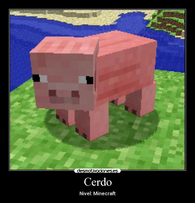 Cerdo -