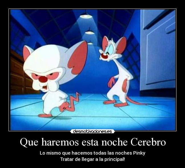 Que haremos esta noche Cerebro -