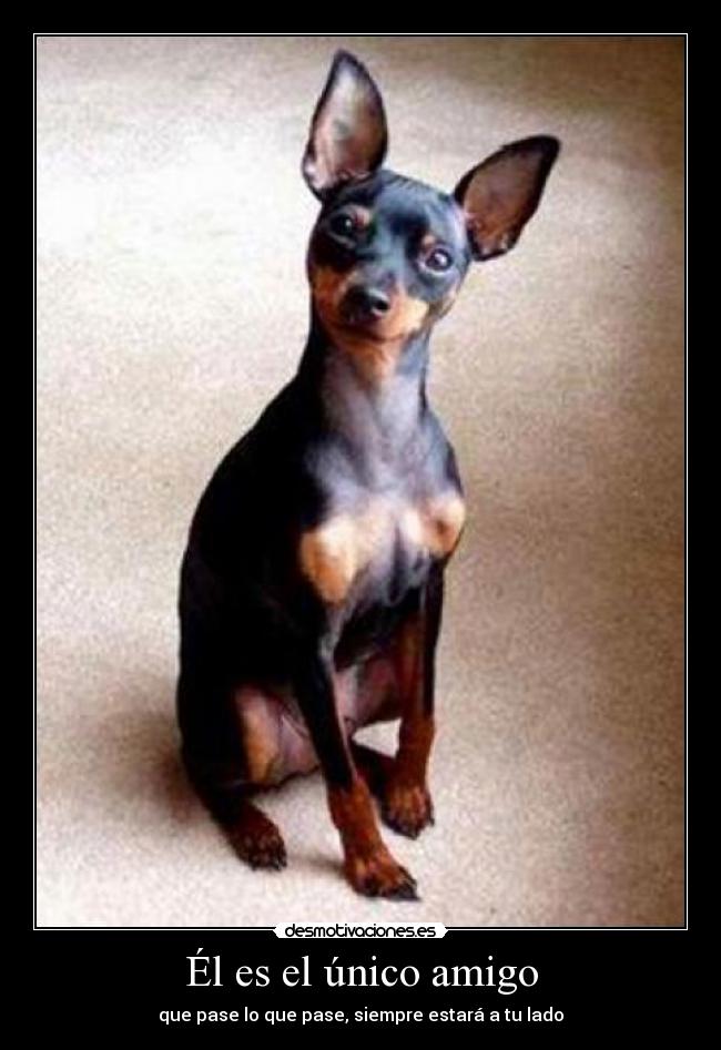 Él es el único amigo - 
