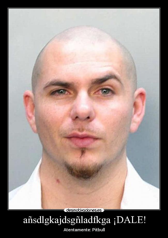 añsdlgkajdsgñladfkga ¡DALE! - 