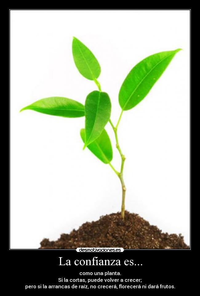 La confianza es... - como una planta.
Si la cortas, puede volver a crecer;
pero si la arrancas de raíz, no crecerá, florecerá ni dará frutos.