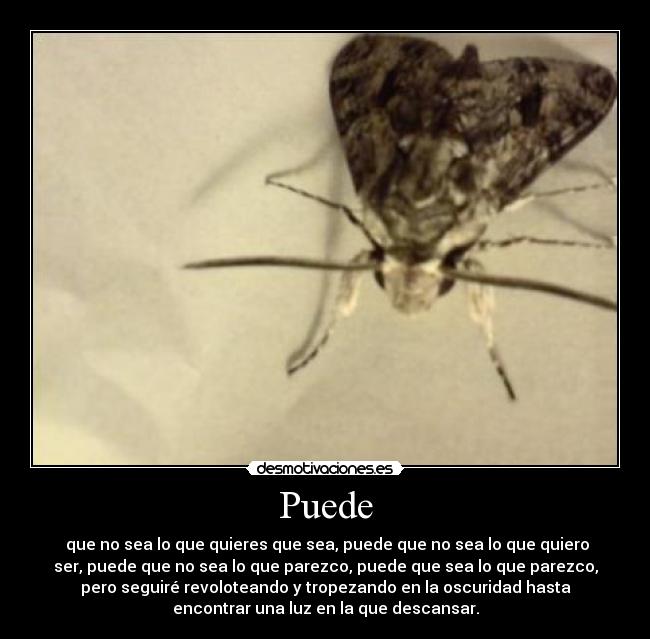 Puede -