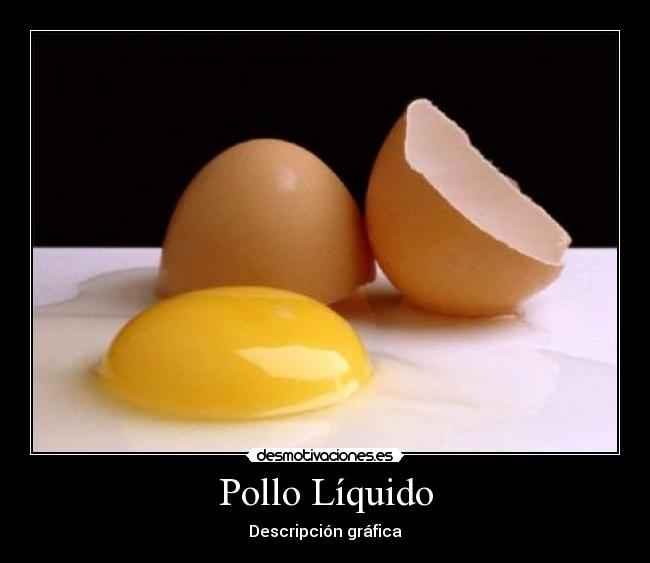 Pollo Líquido - Descripción gráfica