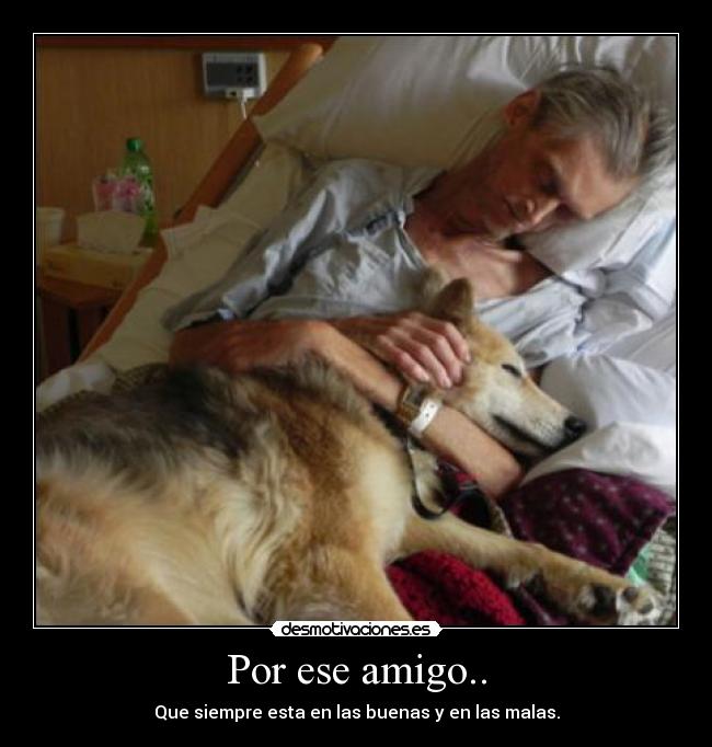 Por ese amigo.. - 