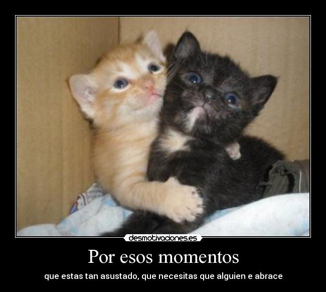Por esos momentos - 