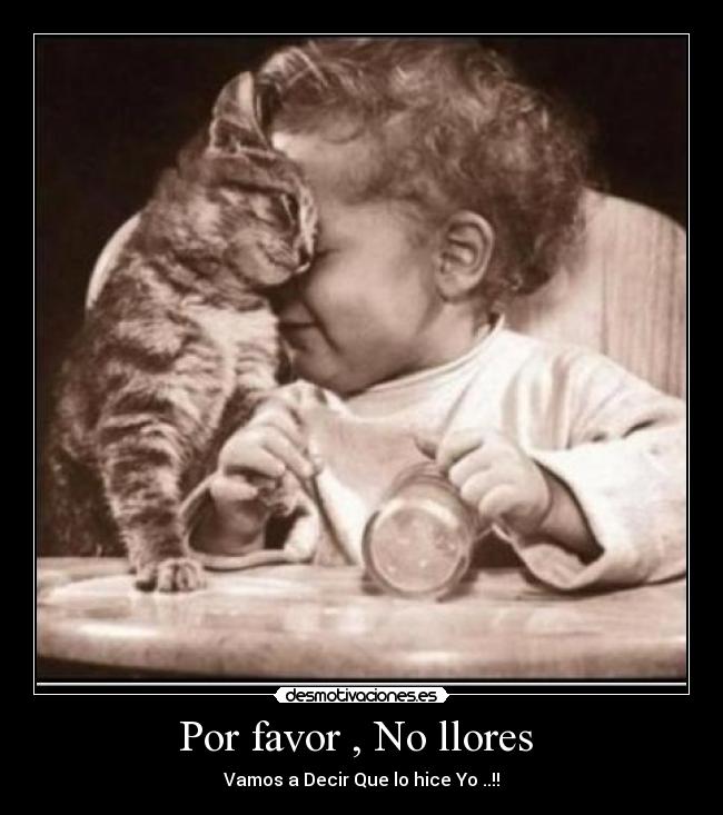 Por favor , No llores -