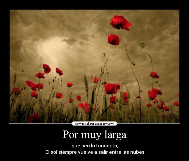 carteles antoniogachero secretos 1 amapola flor favorita desmotivaciones