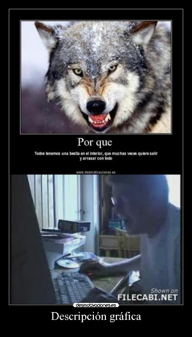 Descripción gráfica - 