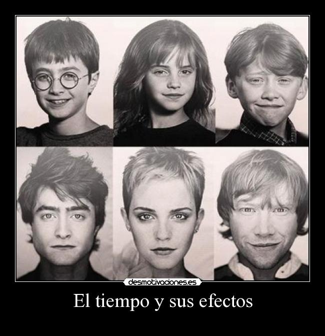 carteles harryhermione ron desmotivaciones