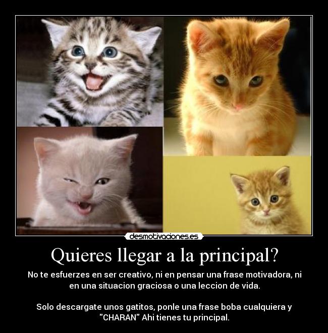Quieres llegar a la principal? -