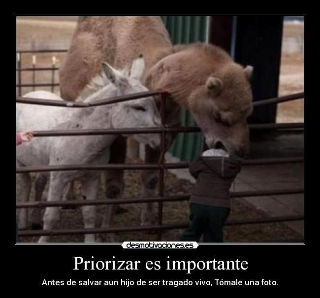 Priorizar es importante - 