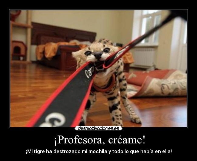 ¡Profesora, créame! - ¡Mi tigre ha destrozado mi mochila y todo lo que había en ella!