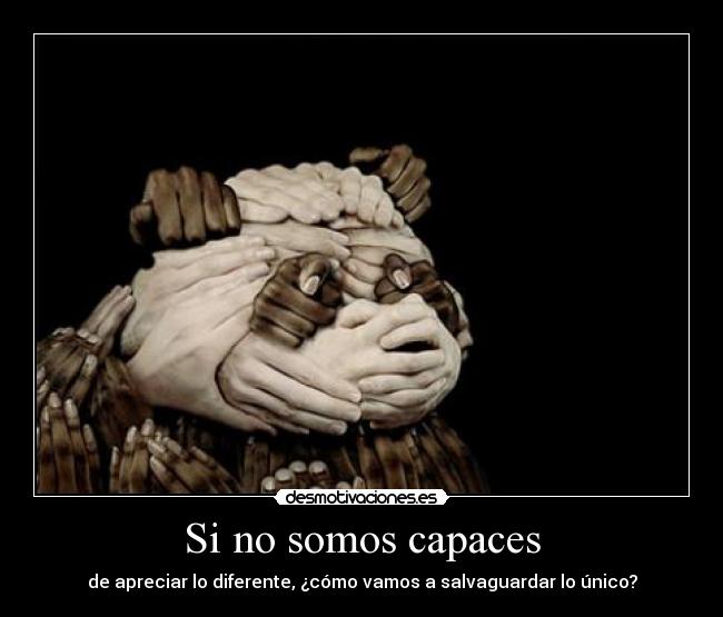 Si no somos capaces - de apreciar lo diferente, ¿cómo vamos a salvaguardar lo único?