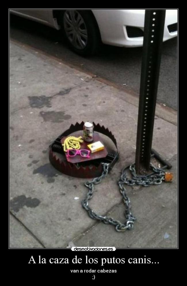 A la caza de los putos canis... - van a rodar cabezas
;)