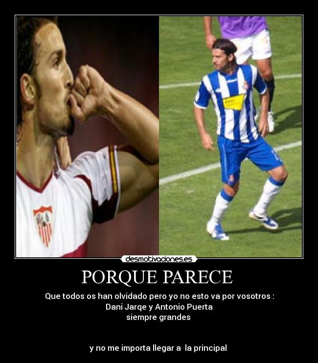 PORQUE PARECE -