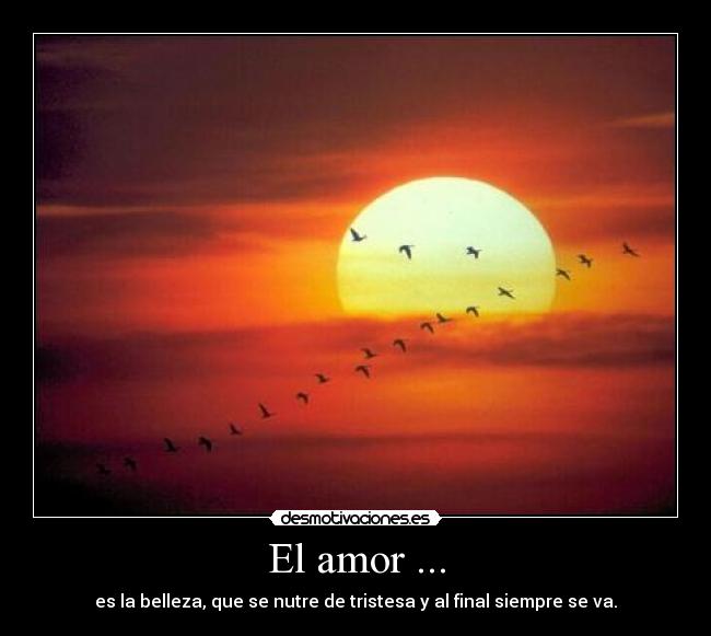 El amor ... - es la belleza, que se nutre de tristesa y al final siempre se va.
