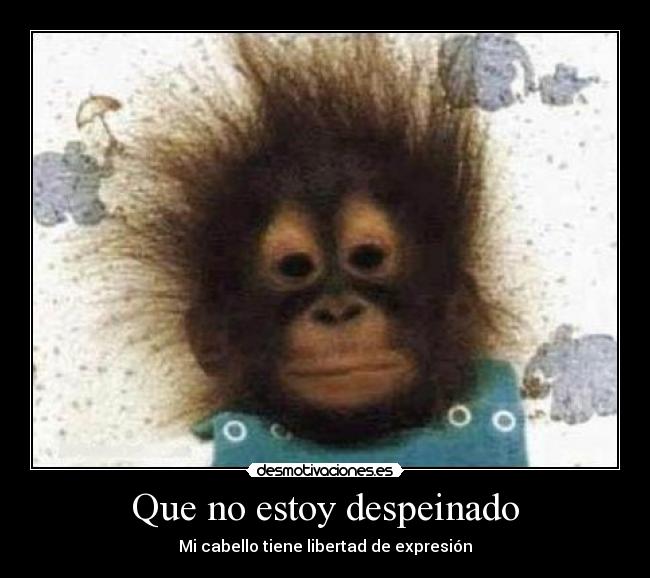 Que no estoy despeinado -