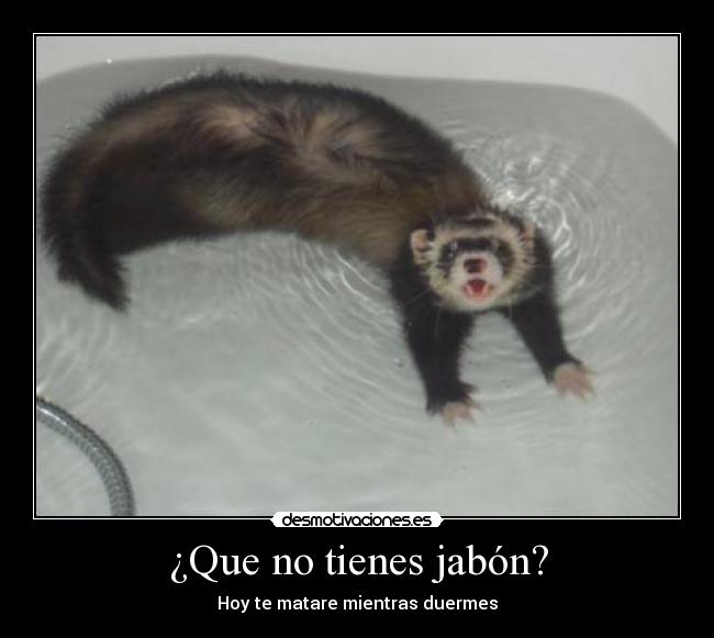 carteles ojito con fuyu que das jabon come para cenar digiere desayuno desmotivaciones