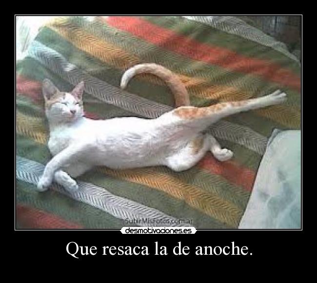 Que resaca la de anoche. -