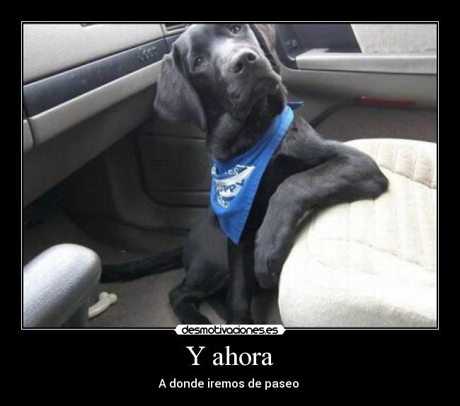 Y ahora - A donde iremos de paseo 