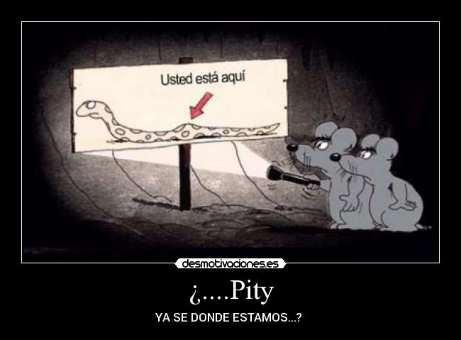 ¿....Pity - YA SE DONDE ESTAMOS...?