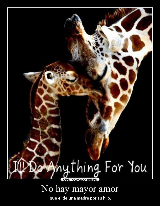 No hay mayor amor - que el de una madre por su hijo.