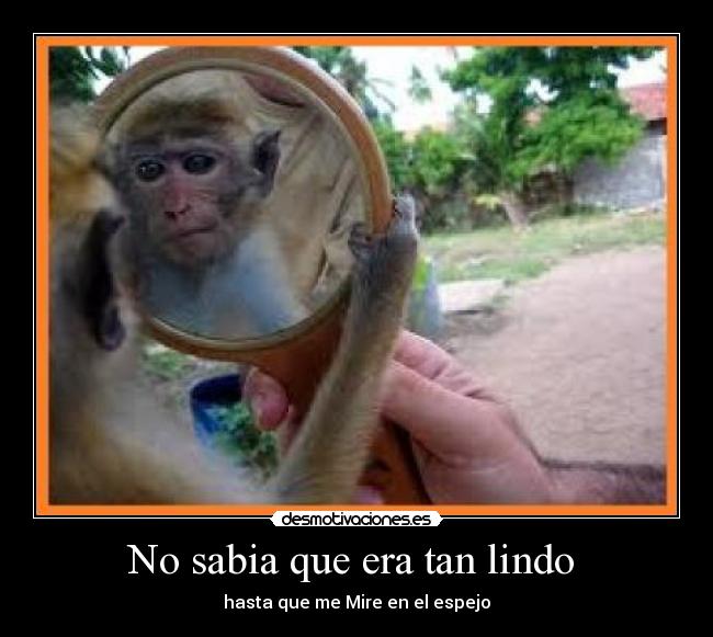 carteles sabia que era tan lindo desmotivaciones