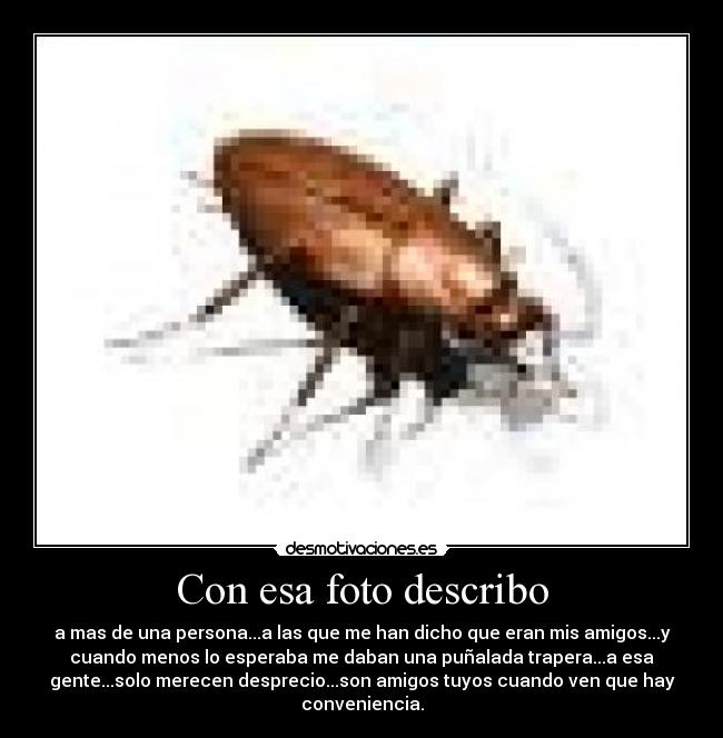 Con esa foto describo - a mas de una persona...a las que me han dicho que eran mis amigos...y
cuando menos lo esperaba me daban una puñalada trapera...a esa
gente...solo merecen desprecio...son amigos tuyos cuando ven que hay
conveniencia.