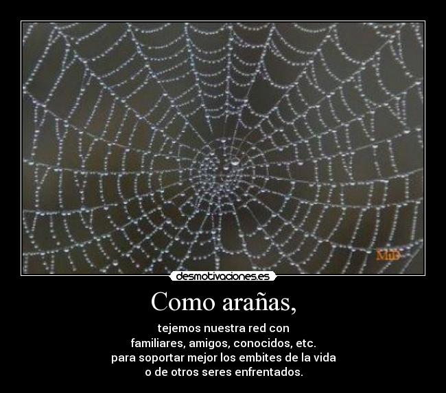 Como arañas, - tejemos nuestra red con
familiares, amigos, conocidos, etc.
para soportar mejor los embites de la vida
o de otros seres enfrentados.