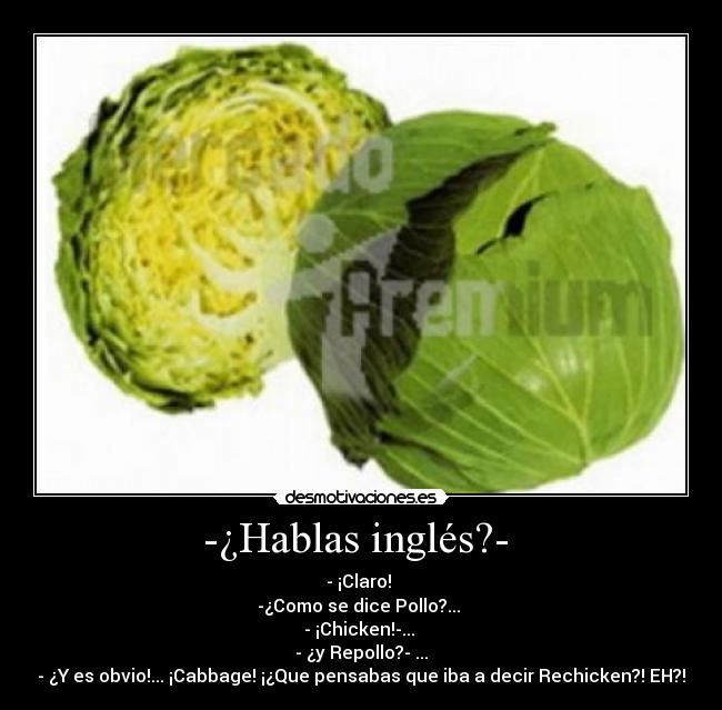 -¿Hablas inglés?-  - - ¡Claro! 
-¿Como se dice Pollo?... 
- ¡Chicken!-... 
- ¿y Repollo?- ...
- ¿Y es obvio!... ¡Cabbage! ¡¿Que pensabas que iba a decir Rechicken?! EH?!