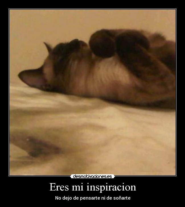 Eres mi inspiracion -