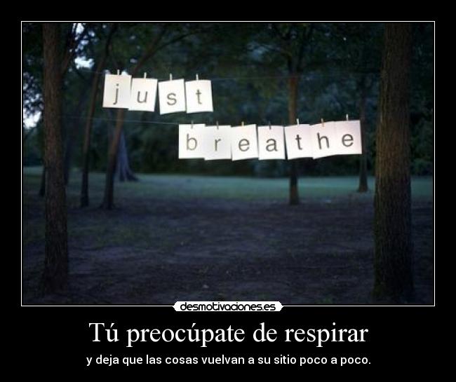 Tú preocúpate de respirar - y deja que las cosas vuelvan a su sitio poco a poco.