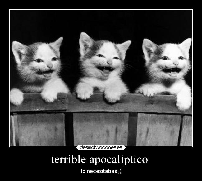 carteles has sonreido desmotivaciones