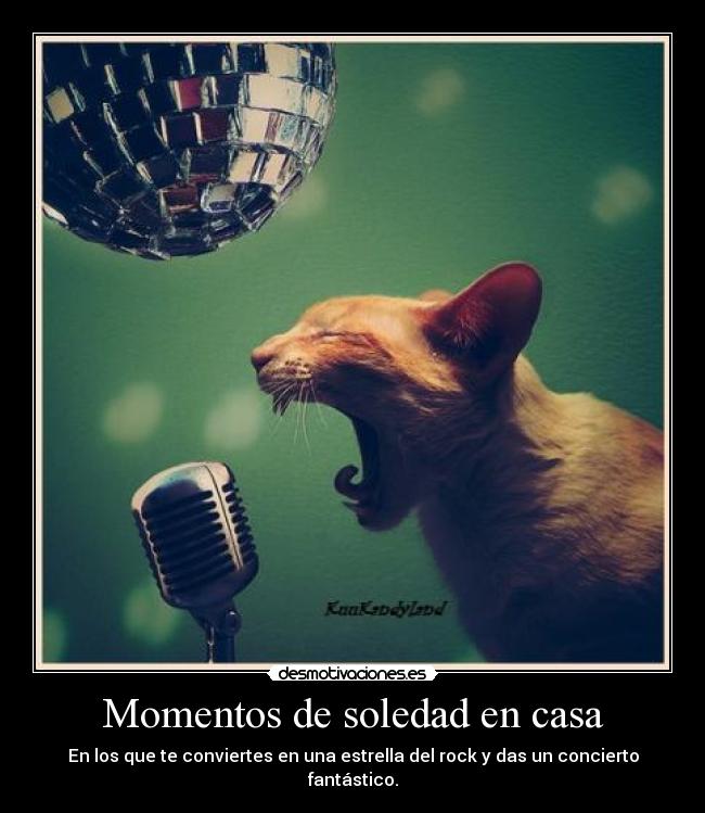 Momentos de soledad en casa - En los que te conviertes en una estrella del rock y das un concierto fantástico.