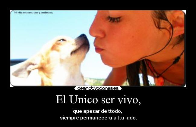 El Unico ser vivo, - que apesar de ttodo,
siempre permanecera a ttu lado.