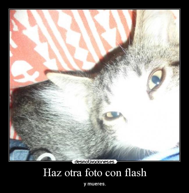 Haz otra foto con flash - 