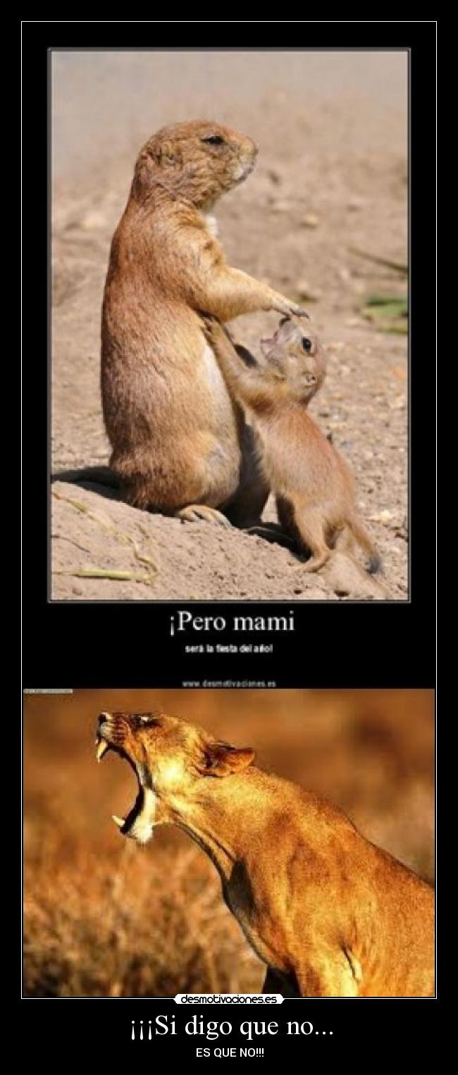 ¡¡¡Si digo que no... - 