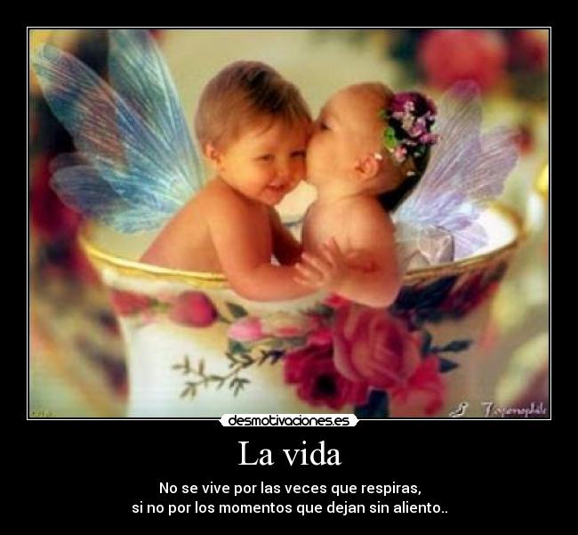 carteles vida vida desmotivaciones