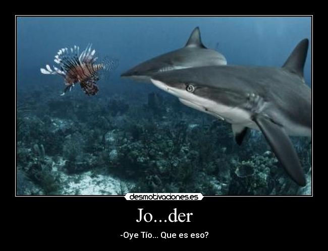 Jo...der - -Oye Tío... Que es eso?