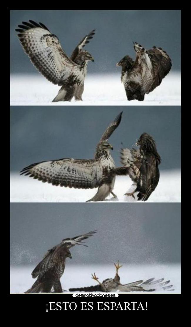 ¡ESTO ES ESPARTA! - 