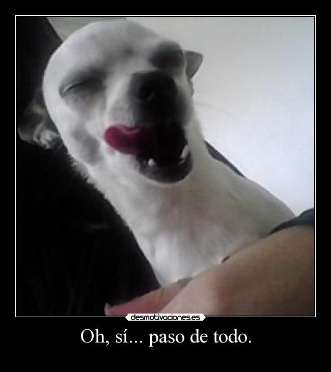 Oh, sí... paso de todo. - 