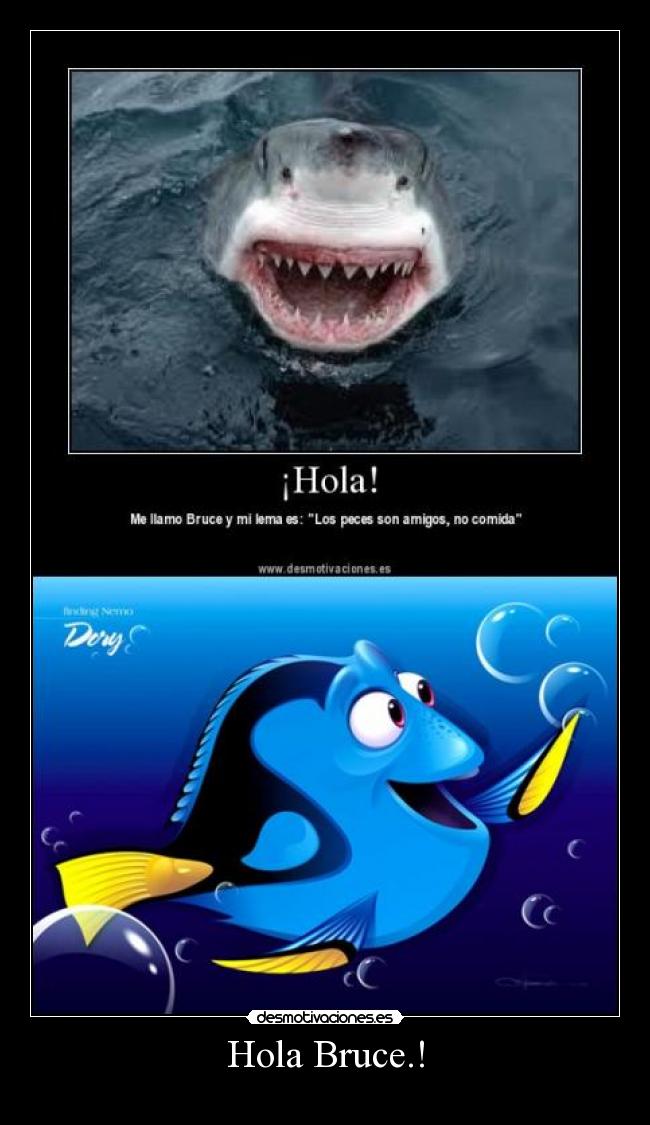 Hola Bruce.! -