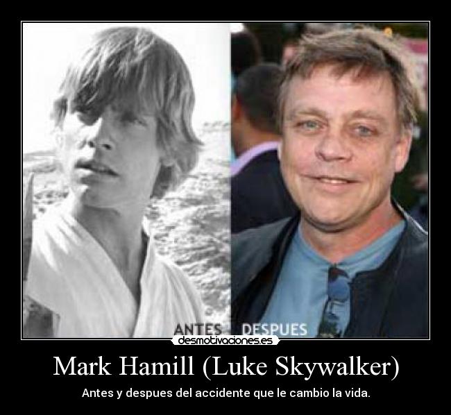 Mark Hamill (Luke Skywalker) - 