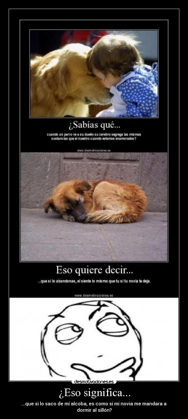¿Eso significa... -