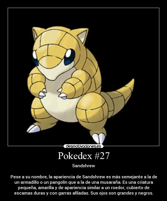 Pokedex #27 - Sandshrew
Pese a su nombre, la apariencia de Sandshrew es más semejante a la de
un armadillo o un pangolín que a la de una musaraña. Es una criatura
pequeña, amarilla y de apariencia similar a un roedor, cubierto de
escamas duras y con garras afiladas. Sus ojos son grandes y negros.