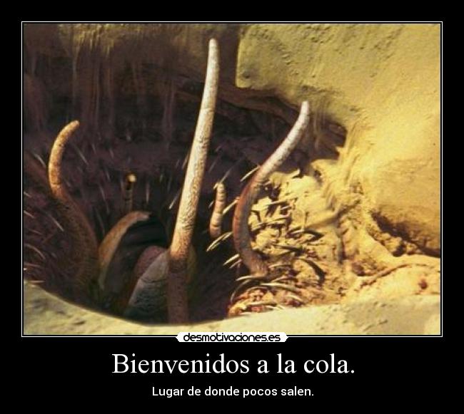 Bienvenidos a la cola. - 