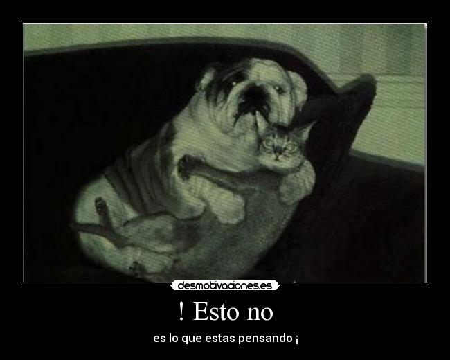 ! Esto no - es lo que estas pensando ¡