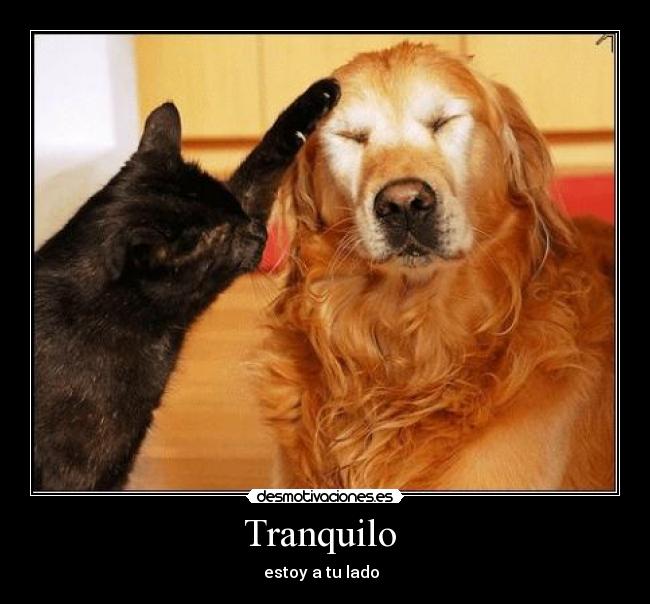 Tranquilo - estoy a tu lado