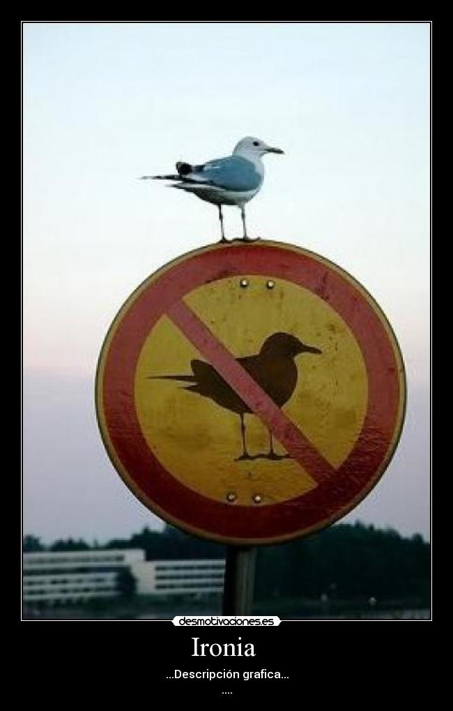Ironia - ...Descripción grafica...
....