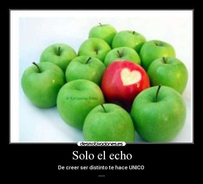 Solo el echo - De creer ser distinto te hace UNICO
.....
